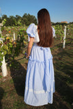 Blueberry Goddess Gown