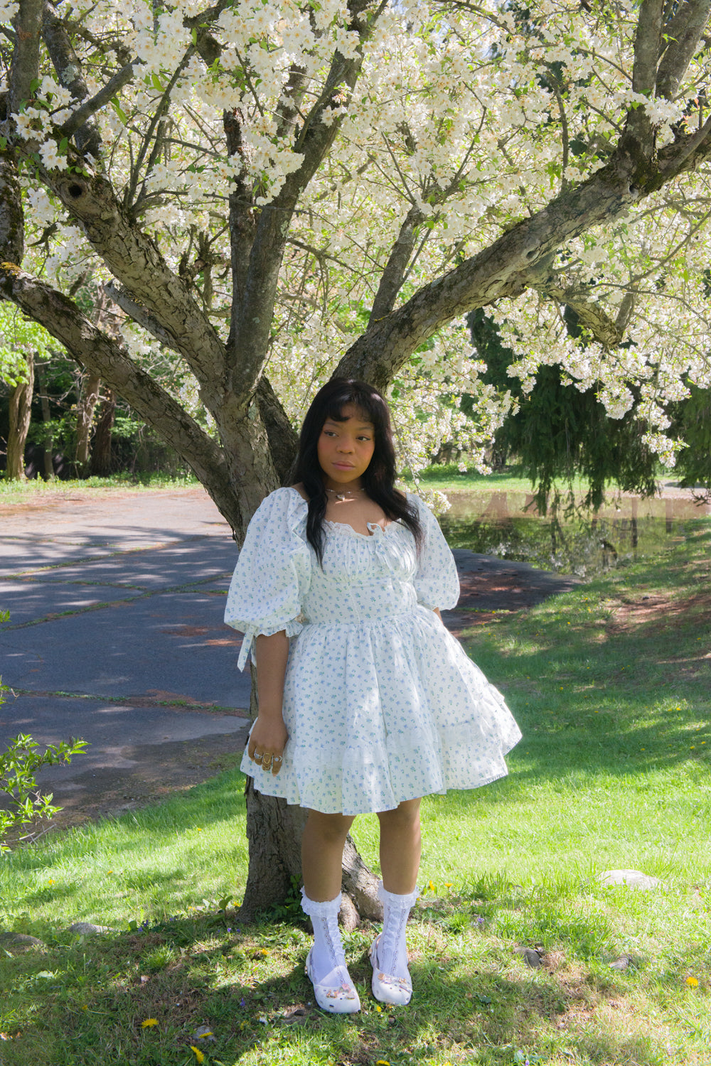 Blue Rose Carriage Dress