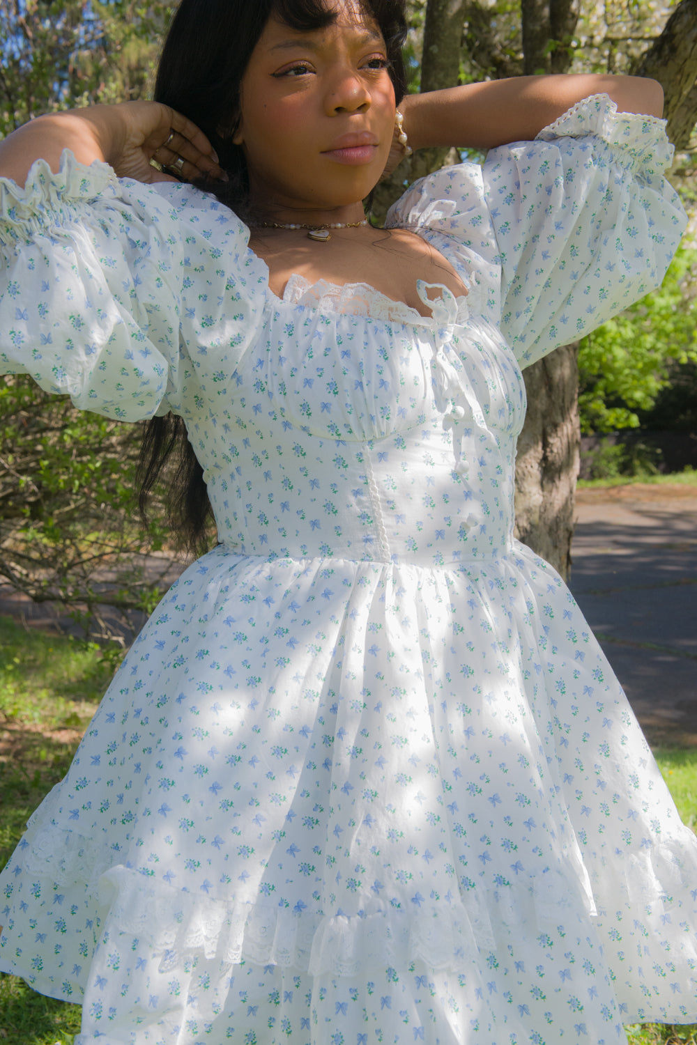 Blue Rose Carriage Dress