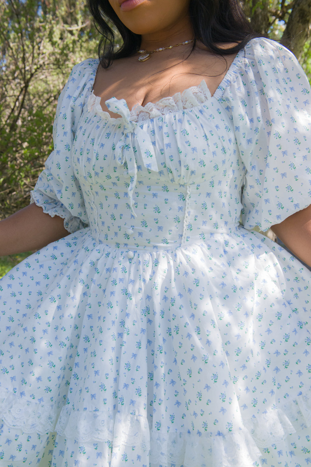 Blue Rose Carriage Dress