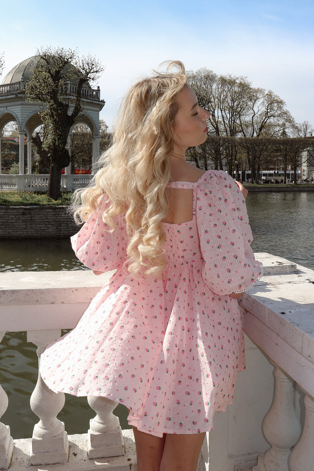 Strawberry Shortcake Cottage Dress